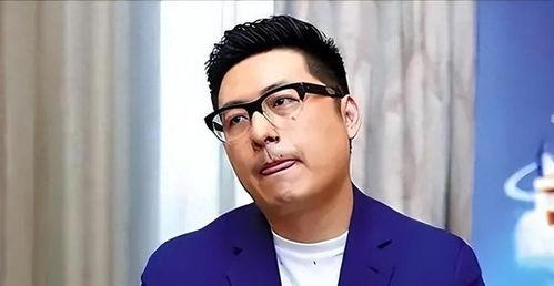 王岳伦爆料娱乐圈视频,独家视频曝光惊人真相  第1张